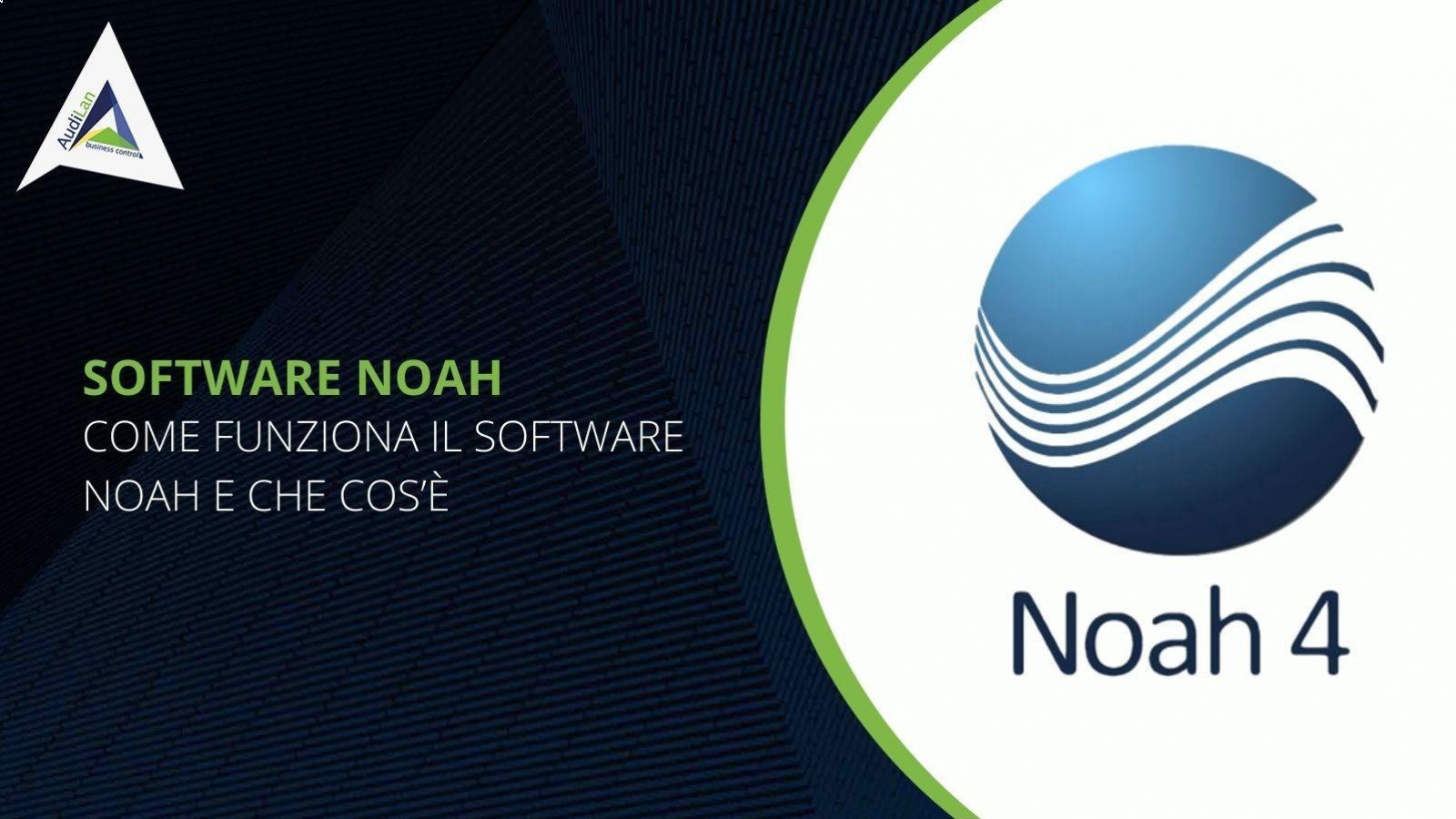 Software Noah audiologia
